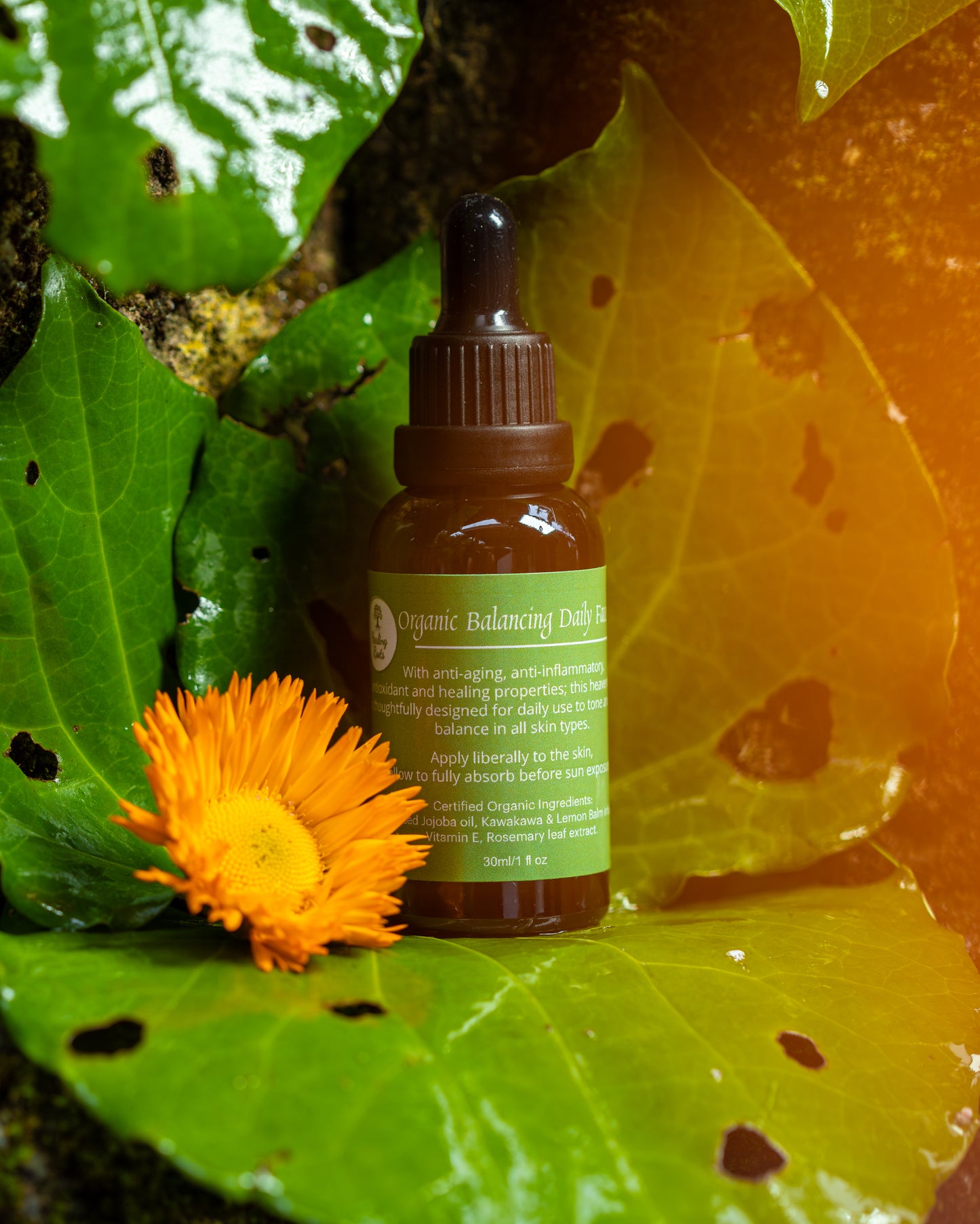 Balancing Daily Serum