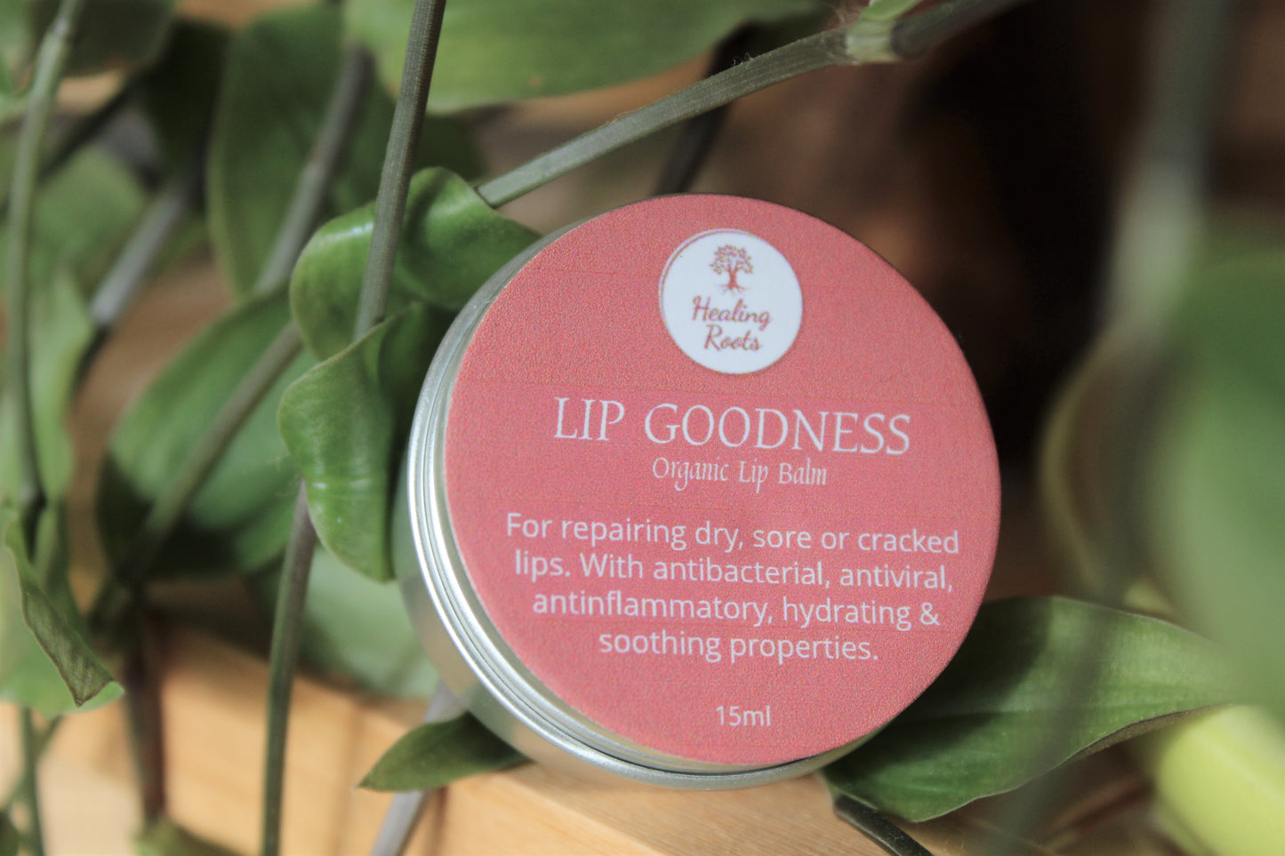 Lip Goodness