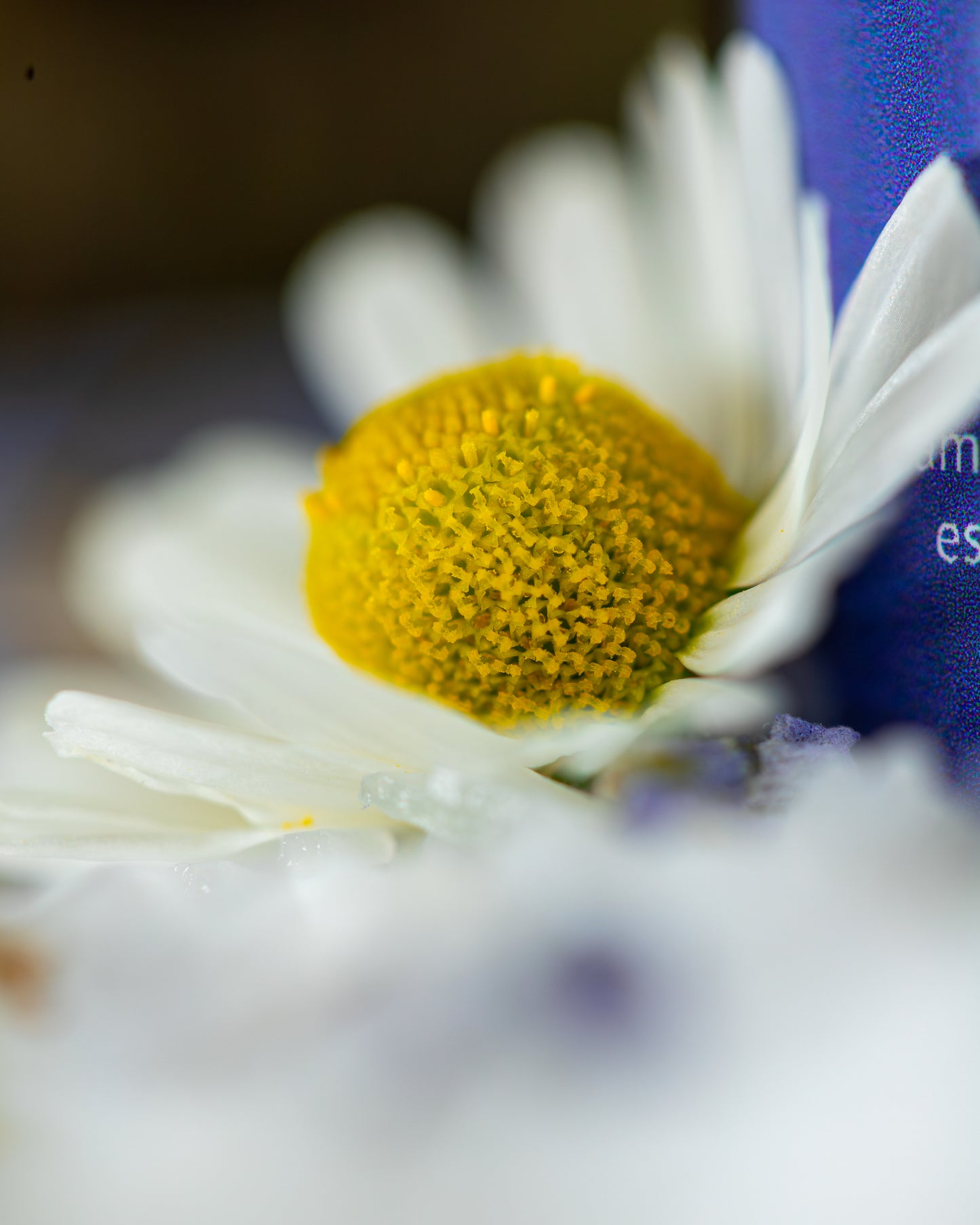 Magnesium Spray